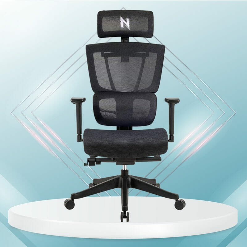 Ergonomic Chair Singapore Ergonomic Office ChairPrice 449