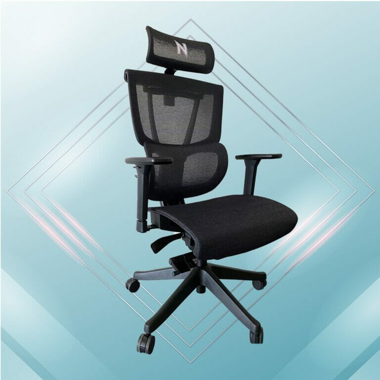 Ergonomic Chair Singapore Ergonomic Office ChairPrice 449